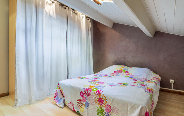 Palmeraie - Photo 15