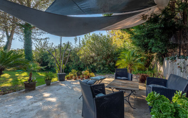 Palmeraie - Photo 20