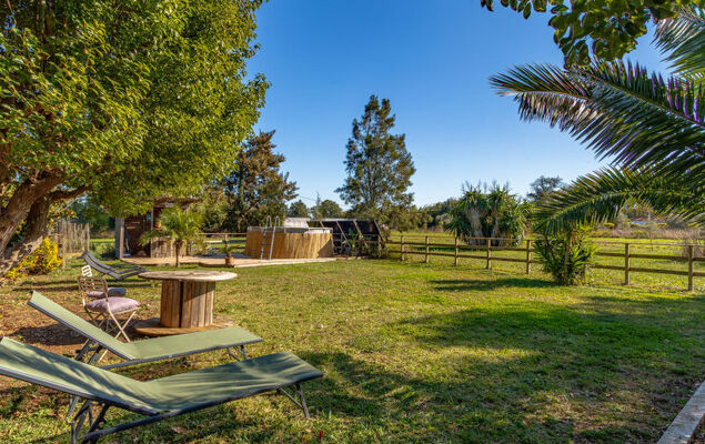 Palmeraie - Photo 23