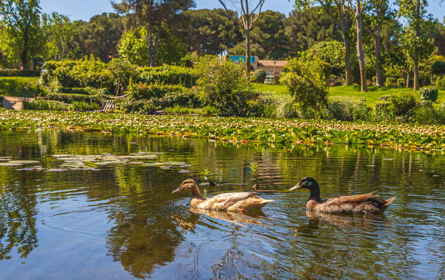 le Verdon - Photo 31