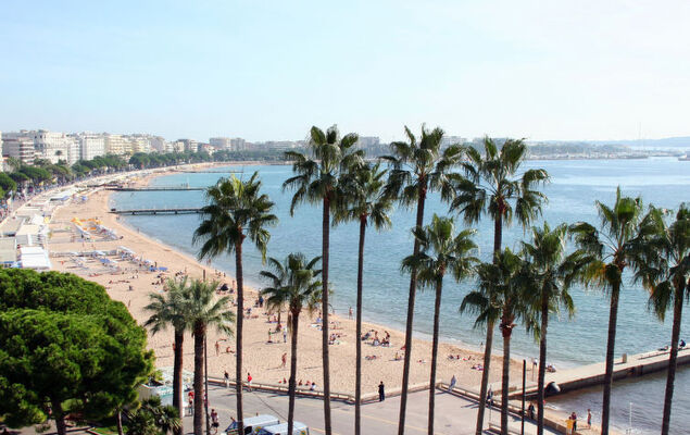 Santa Cruz - Photo 19