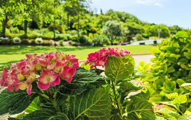 Douce campagne - Photo 34