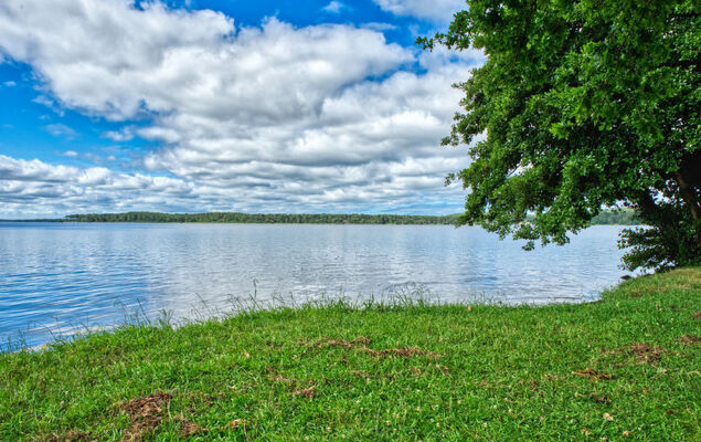 Marina de Talaris - Photo 17