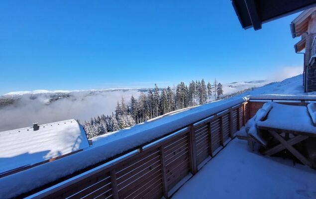 Diamondsky - Photo 30