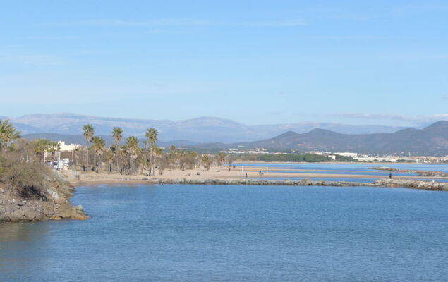 Les Calanques du Parc - Photo 28