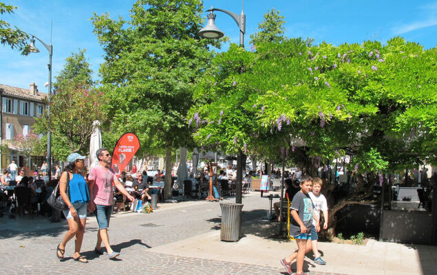 Les Lauriers Blancs - Photo 44