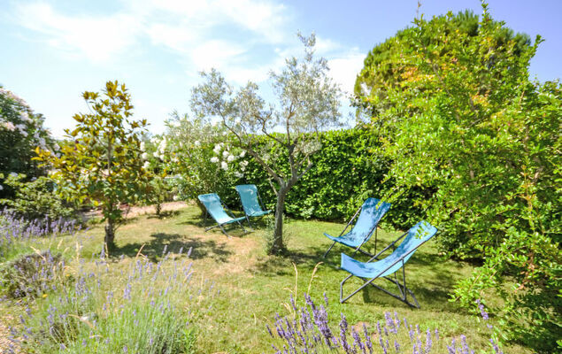 L'Olivier - Photo 38