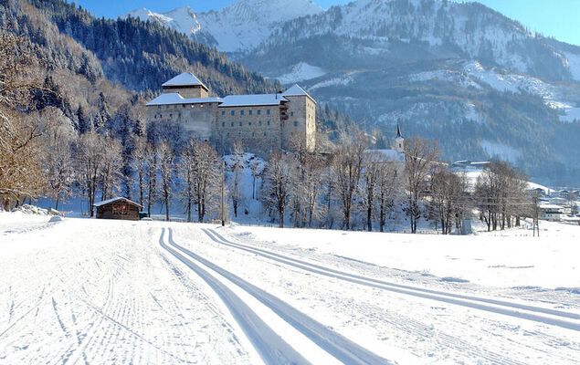 Hettegg Lehen - Photo 66