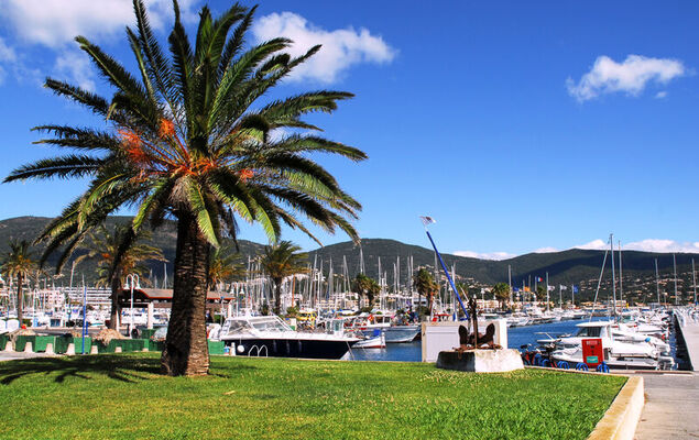 151 Bay Street - Photo 21