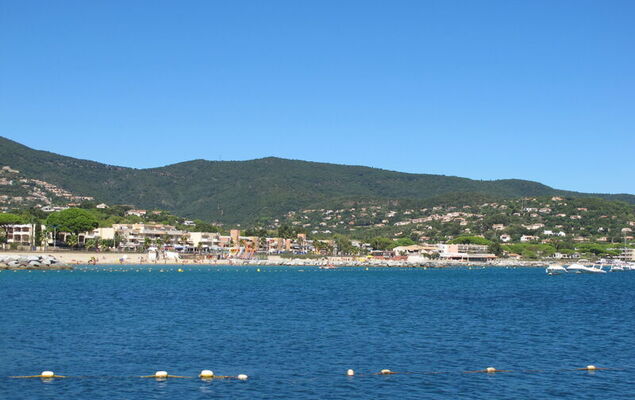 151 Bay Street - Photo 25