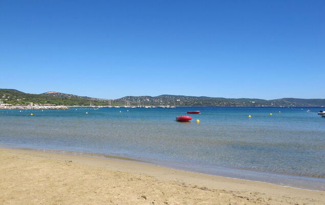 151 Bay Street - Photo 27