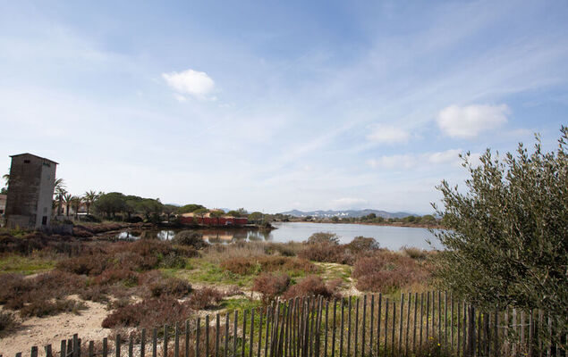 Port de La Gavine - Photo 21