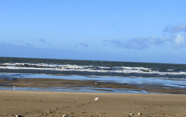 Les Corniches du Mont Canisy - Photo 16