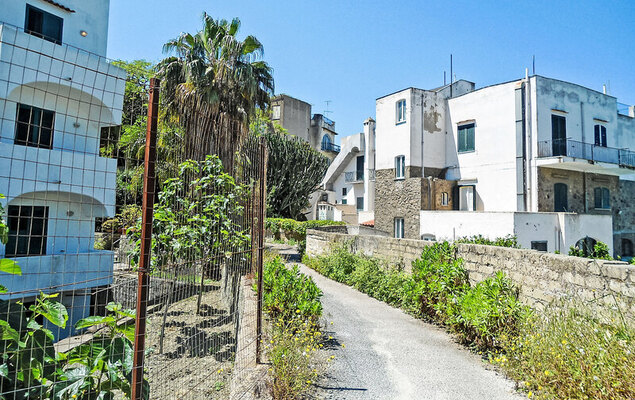 Pithecusa - Photo 26