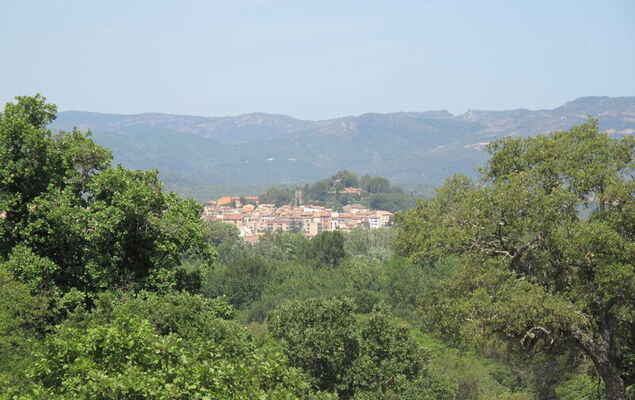 Eden Golfe - Photo 27