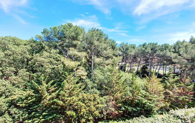 Les Oliviers - Photo 5