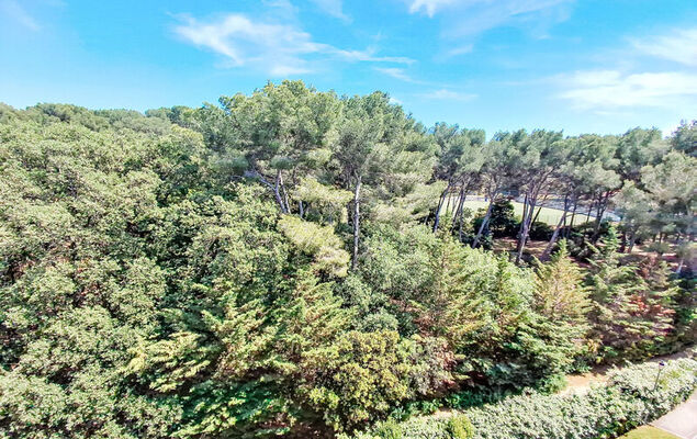 Les Oliviers - Photo 17